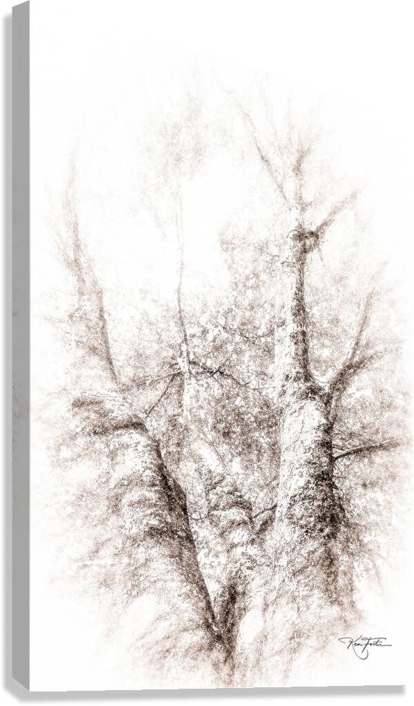 Favourite Tree Canvas Print