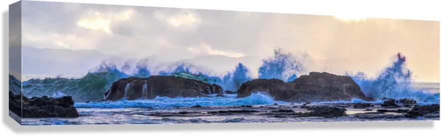 Escape the Wave Canvas Print