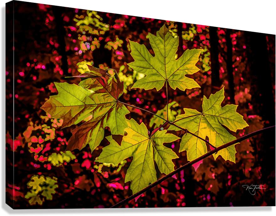 Fall Quartet Canvas Print