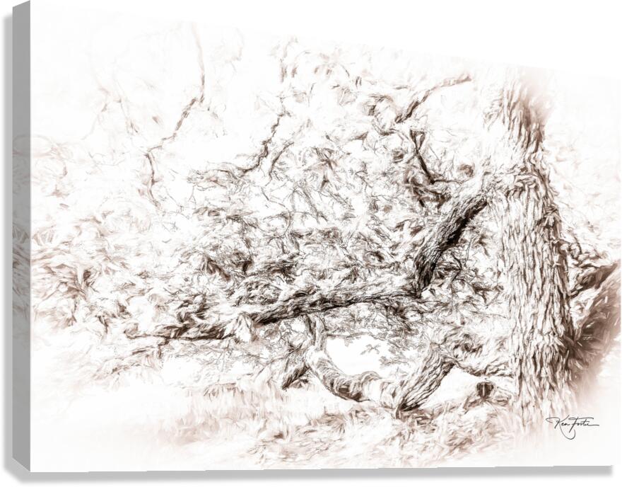 Ent Left Canvas Print