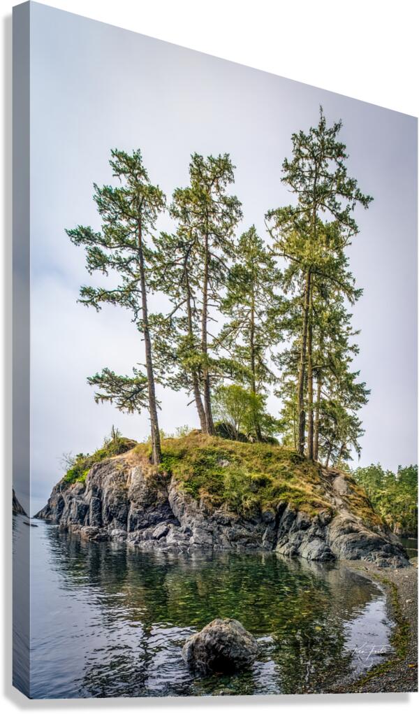 Finally Sun Canvas Print