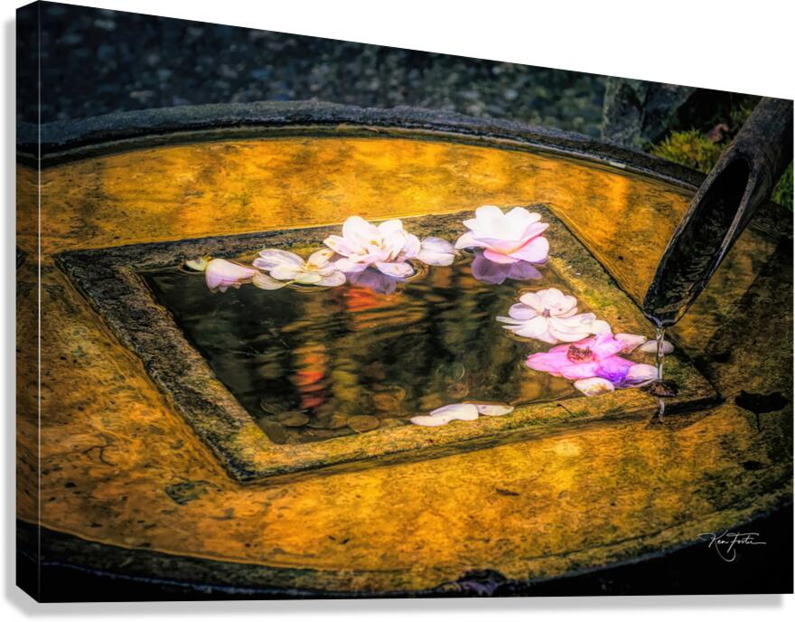 Floaters Canvas Print
