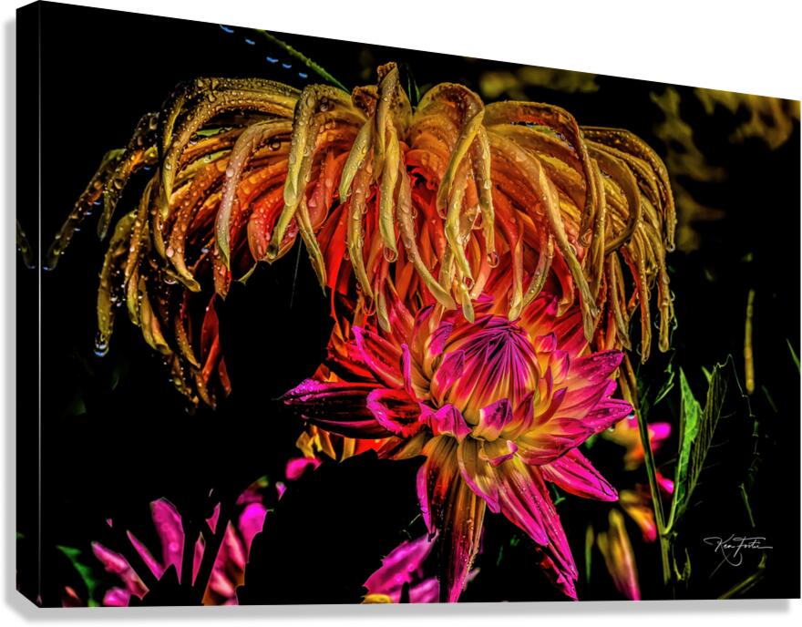 Fireworks Canvas Print