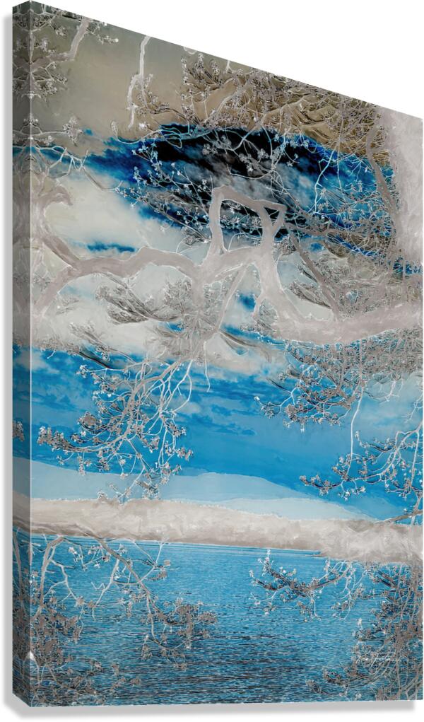 Foreground Background Canvas Print
