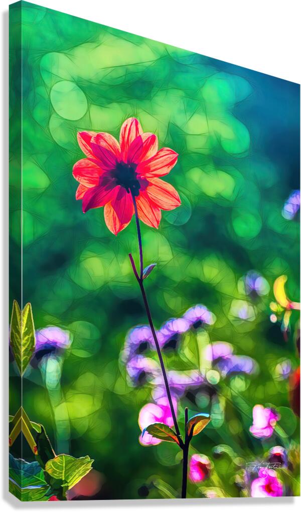 Going Single Canvas Print