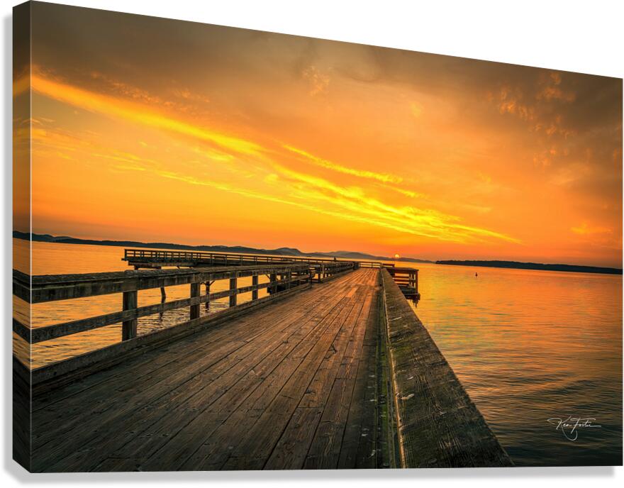 Half a Lemon Canvas Print