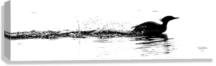 High Speed Canvas Print