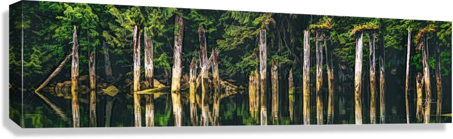 Lost Building Canvas Print