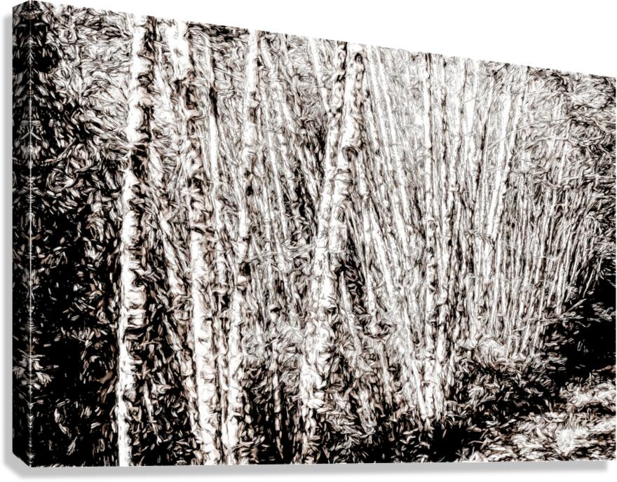 Many Trunks Canvas Print