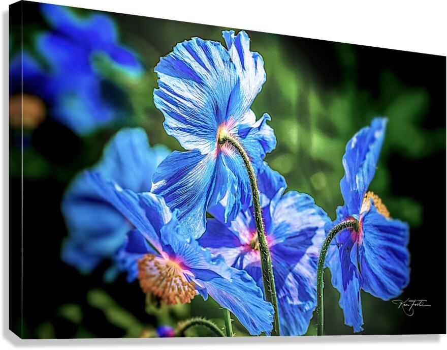 More Blue Canvas Print