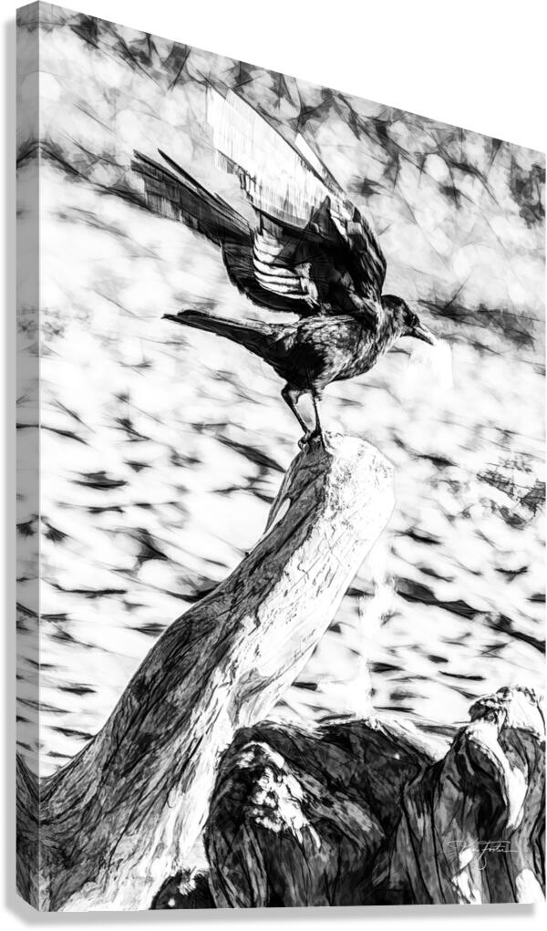 One Crow Canvas Print
