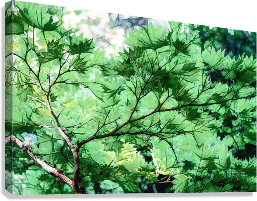 Beneath Canvas Print