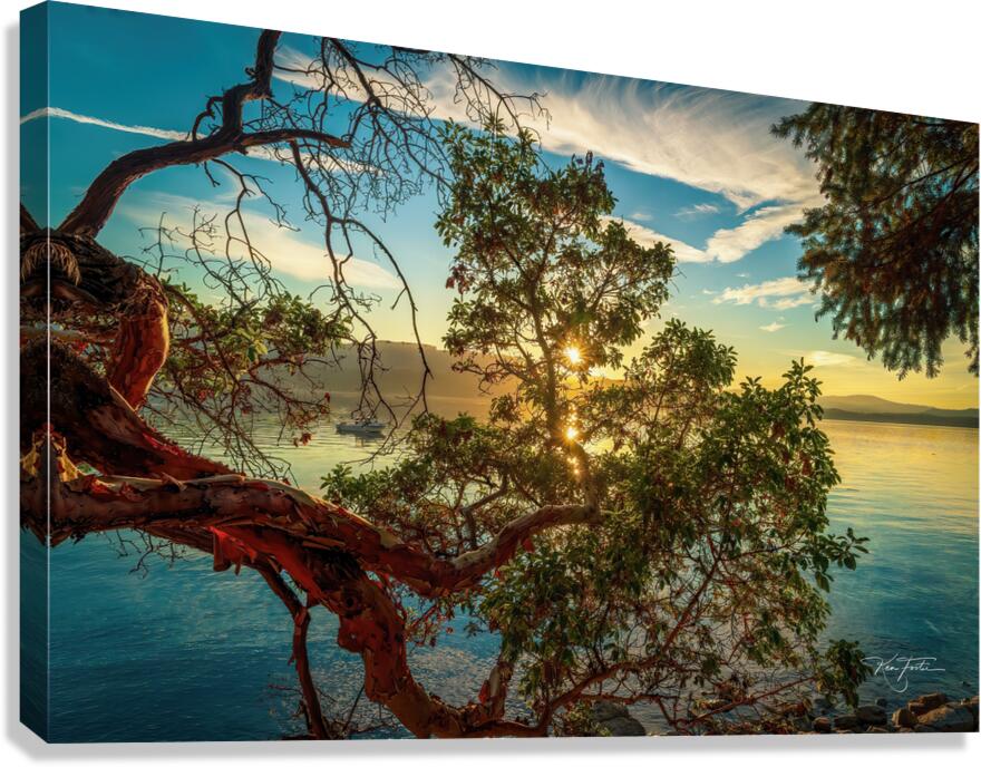 Many Suns Set Canvas Print