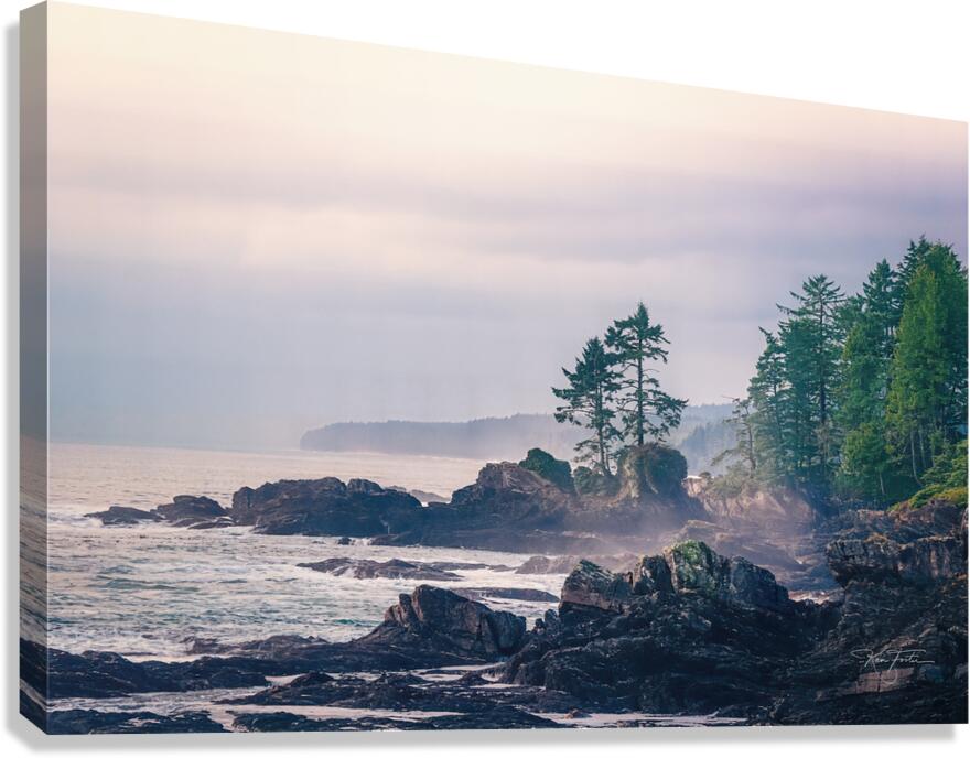 Winter s Grey Canvas Print