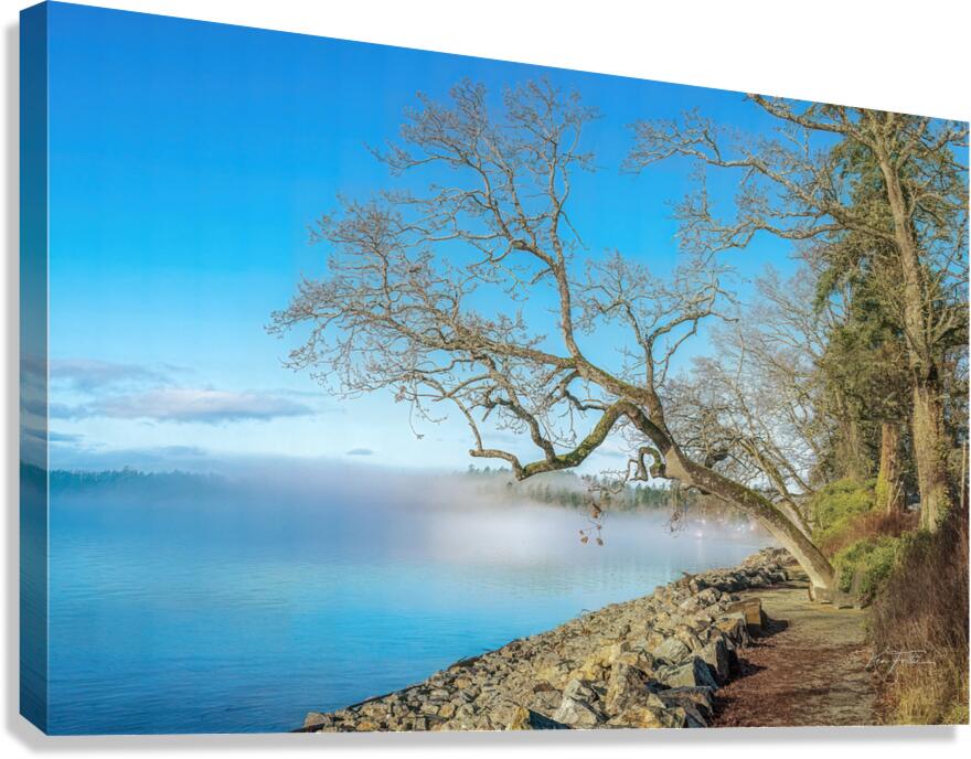 Winter Mist Canvas Print