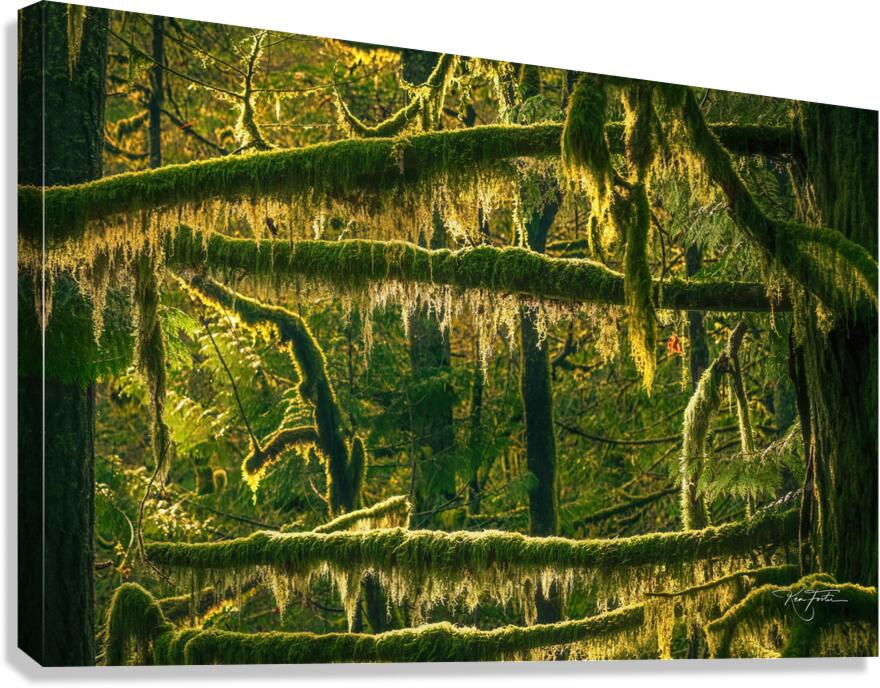 Hanging On Canvas Print
