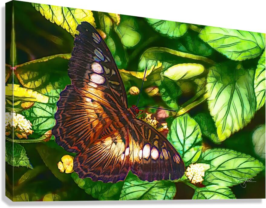 Spot Moth Canvas Print
