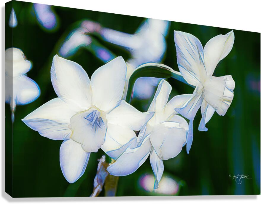 Triplet Canvas Print