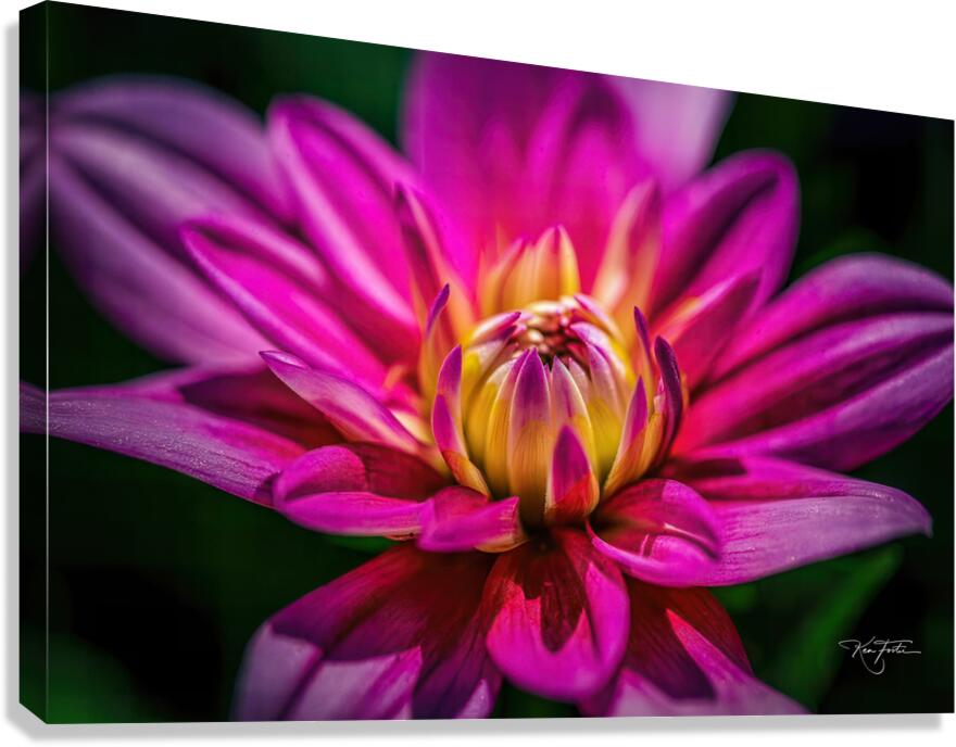Gift Opening Canvas Print