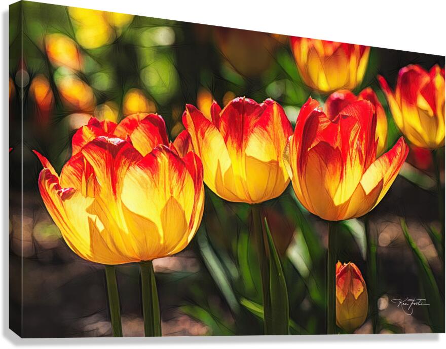 With Inner Light Canvas Print