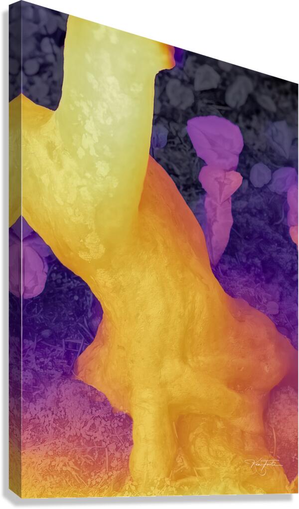 Trunk Depth Canvas Print