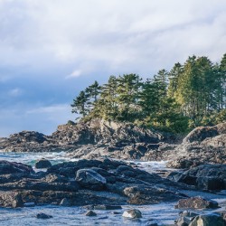 Cove
