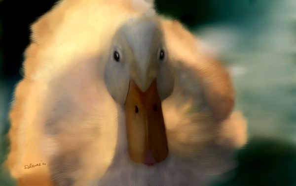 Fuzzy Duck Print