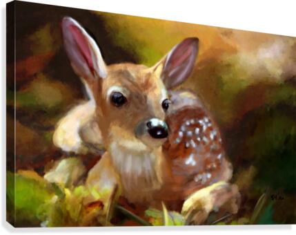 Contentment Canvas Print