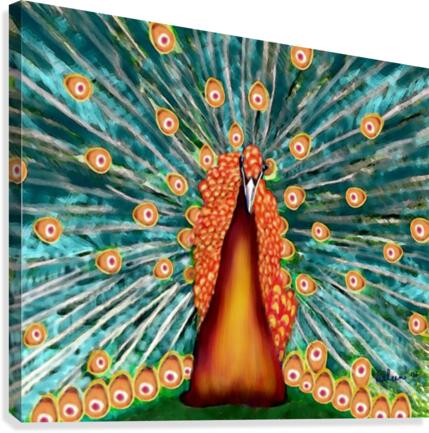 Peacock Canvas Print