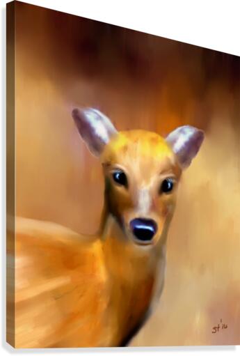 Innocence Canvas Print