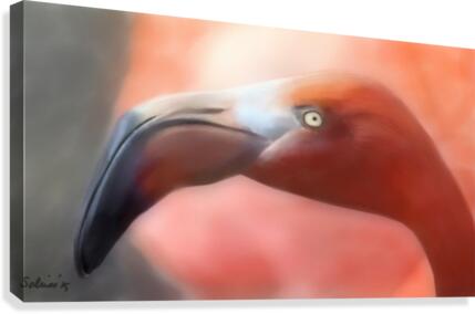 Flamingo Canvas Print