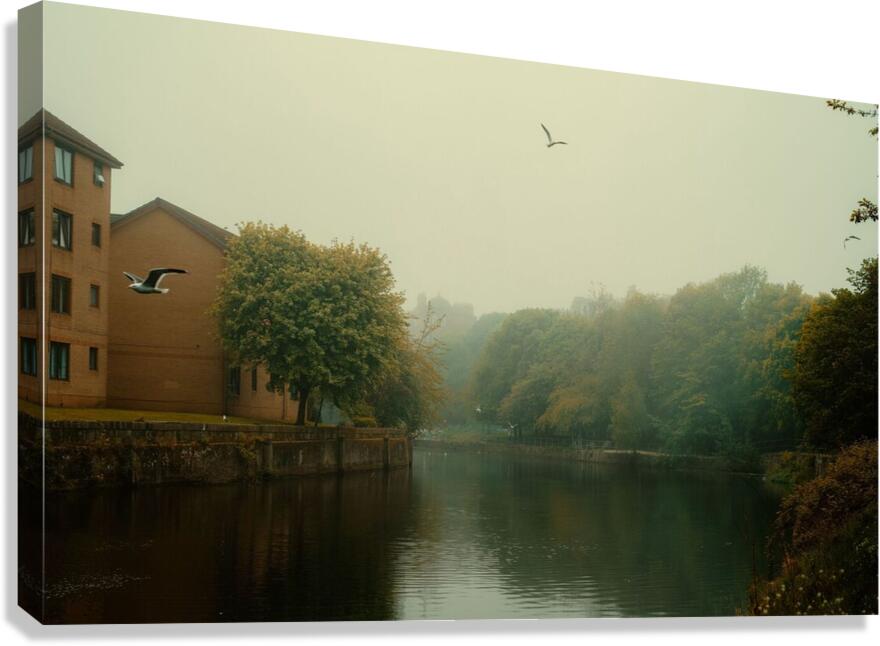 river trees park  Canvas Print