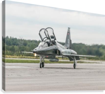 Air Show Canvas Print