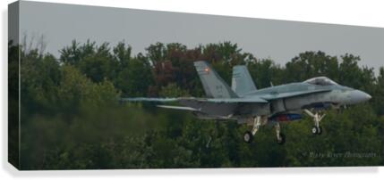 Hornet Canvas Print