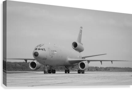 Big Wings Canvas Print