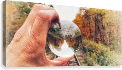 FALL TRACKS  Canvas Print