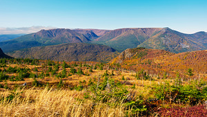 Mont Albert