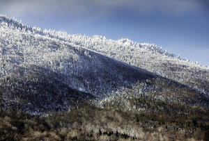 Flanc de montagne