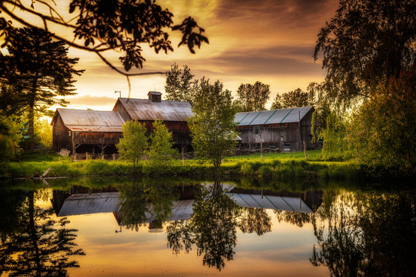 Reflet Print