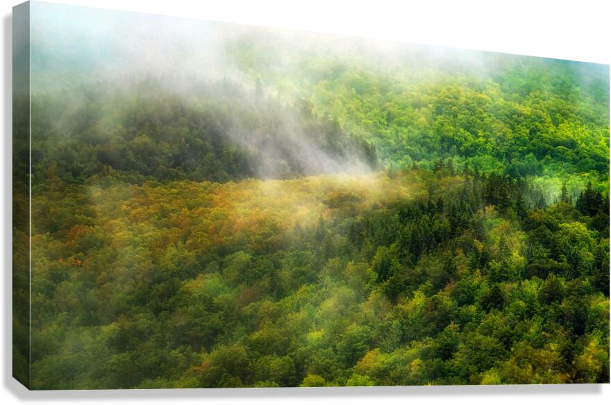 La vallee Canvas Print