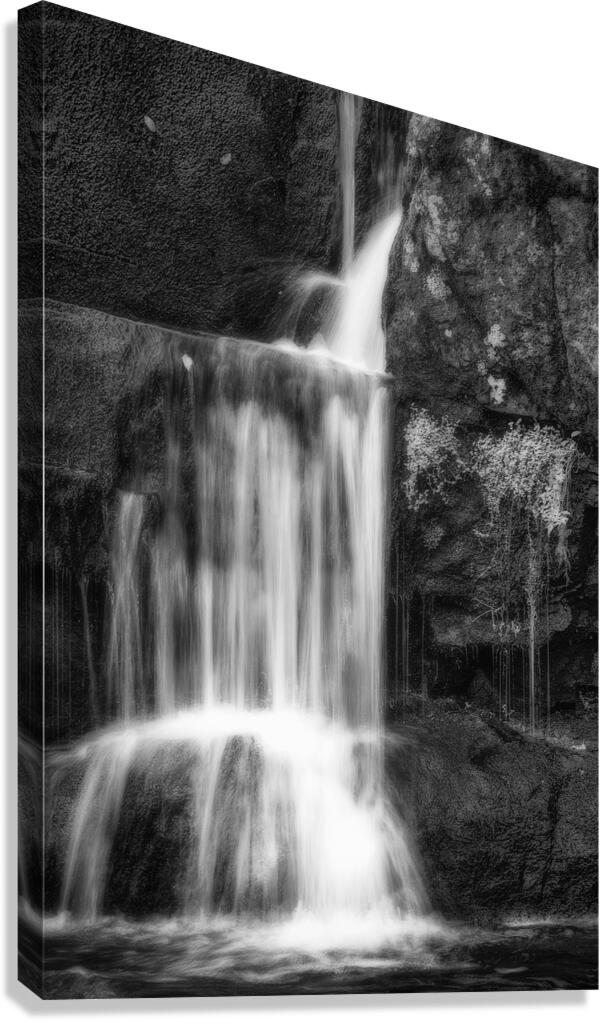 Temps darret Canvas Print