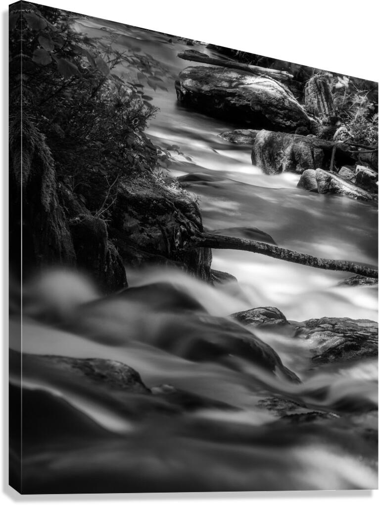Descente Canvas Print