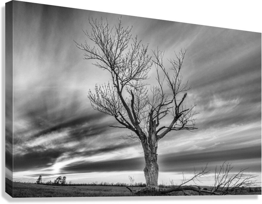 Foudroye  Canvas Print