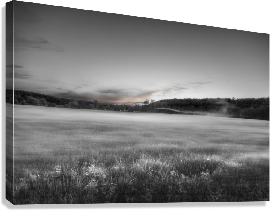 Avalon  Impression sur toile