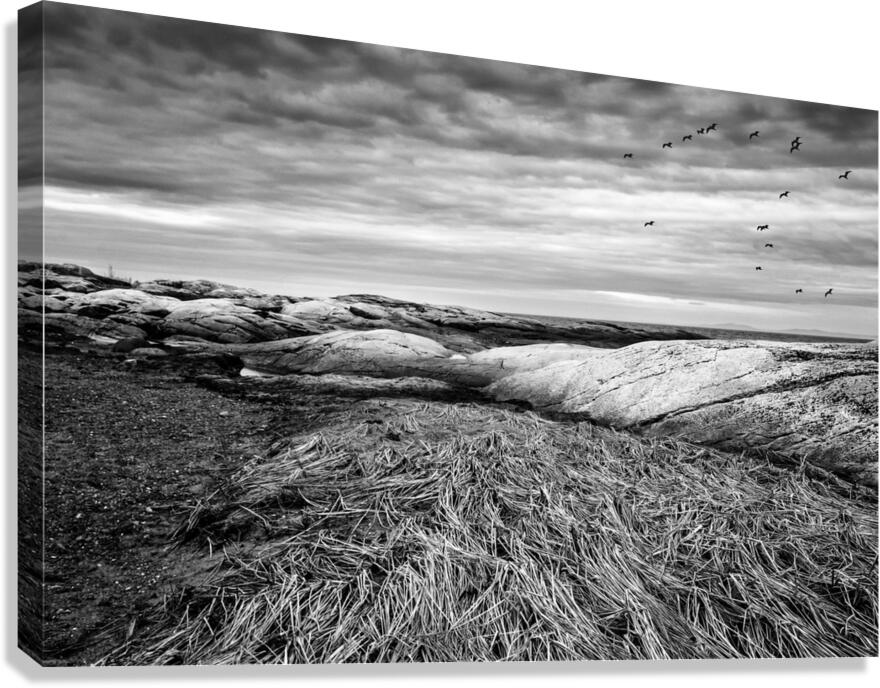 La batture Canvas Print