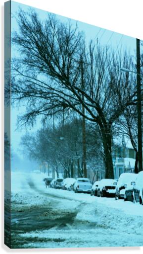 Frost Canvas Print