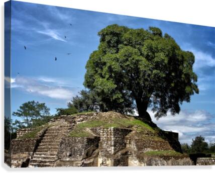 Mayan Moon Temple Canvas Print