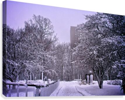 Winter Road Canvas Print