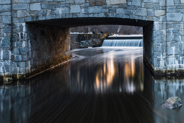 The reflection Print
