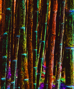 BAMBOO - 1.4 - FREE SHIPPING